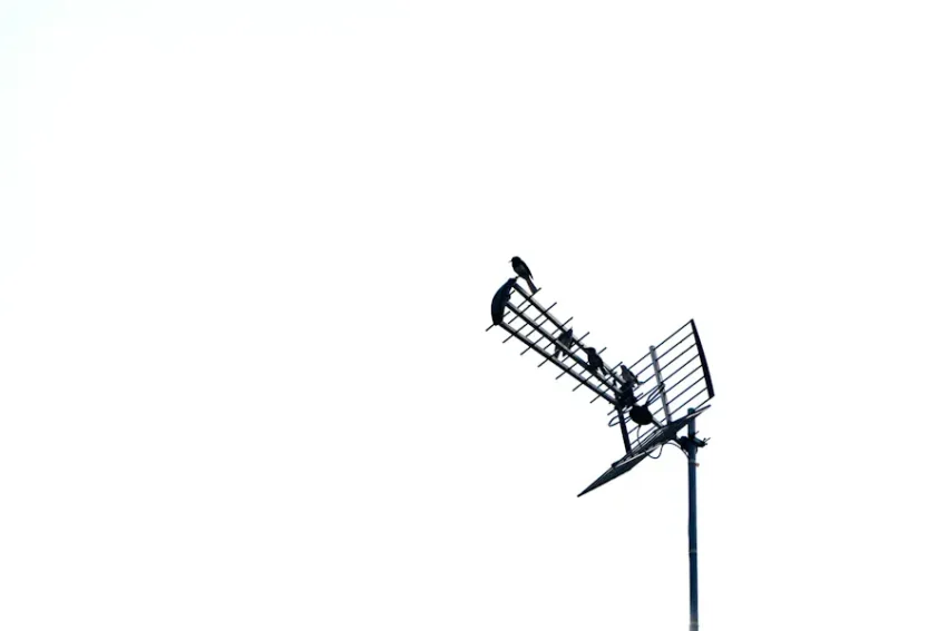 antenn
